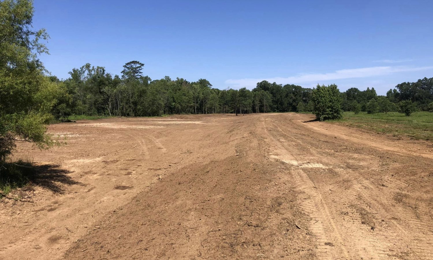land clearing job Land Clearing
